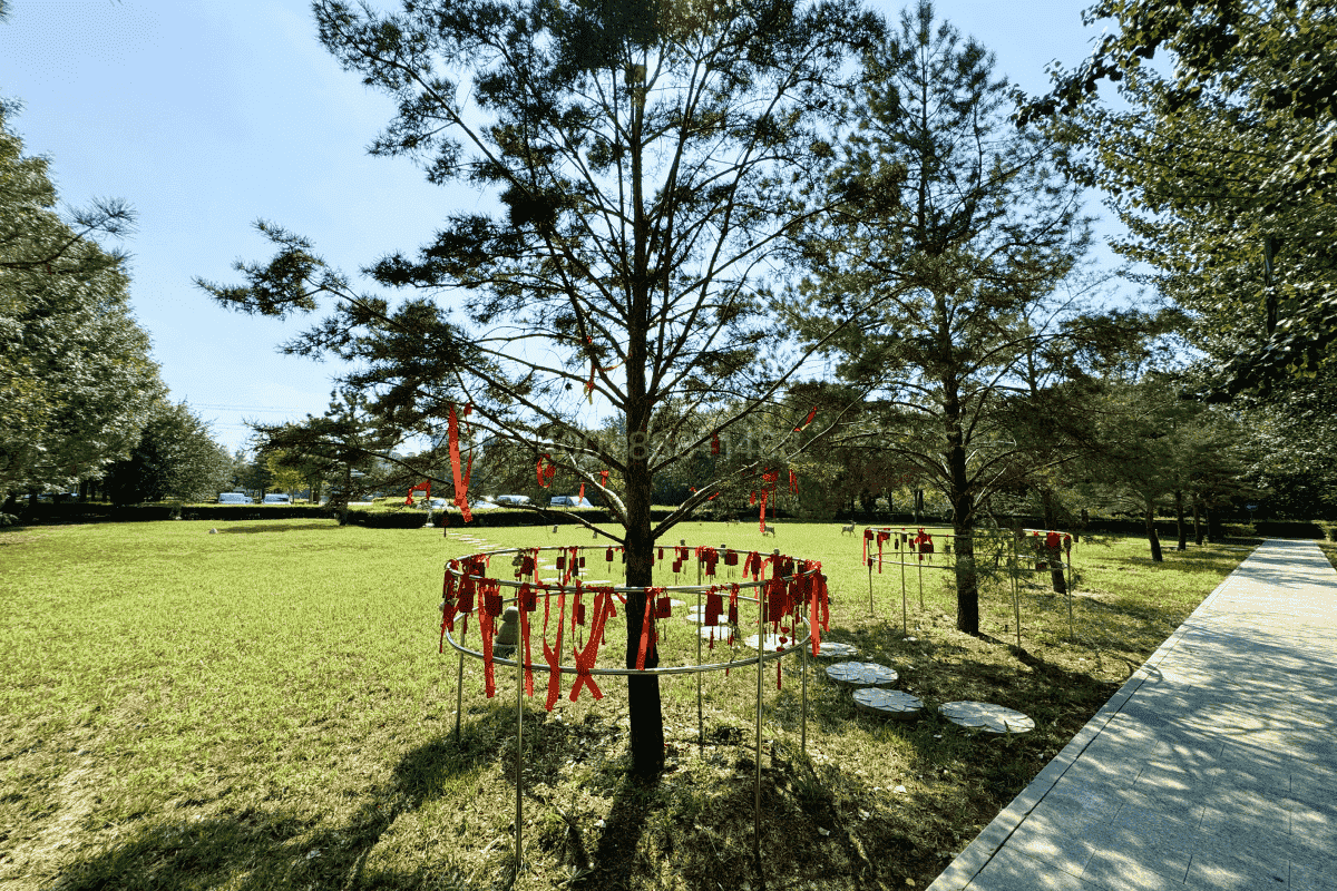 天津玉佛寺寝宫官网园区景观图